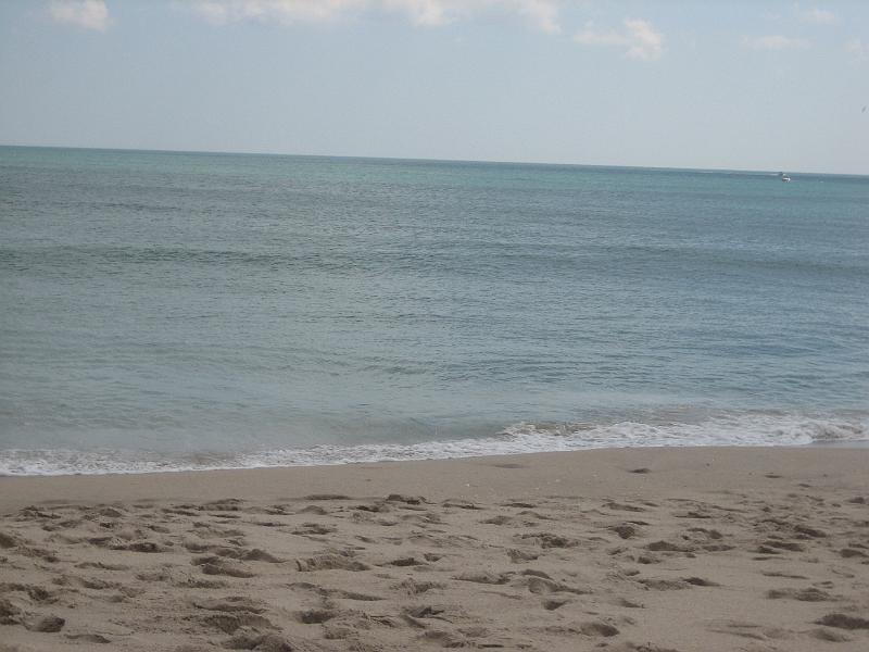 Picture 035